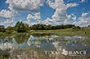 483 acres Lampasas image 46