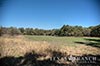 134 acres McLennan image 24