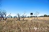 134 acres McLennan image 27
