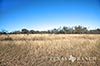134 acres McLennan image 29