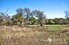 134 acres McLennan image 30