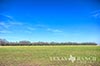 260 acres Medina County image 66