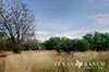 278 acres Medina image 30