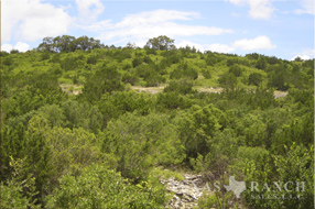 ranch sale, 1150 Acres, Kinney County ranch, image 11