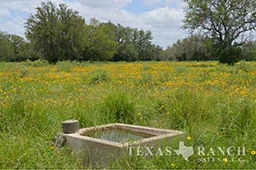 Property Photo 52