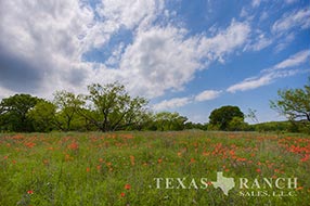 Property Photo 56