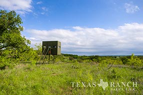 Property Photo 66